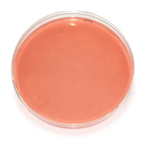 PCR Tubes and Strips