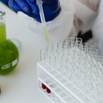 Photo by Dustin Humes