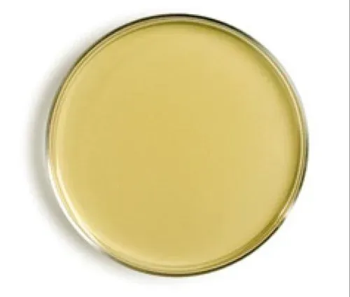 Sabouraud Dextrose Agar Plates